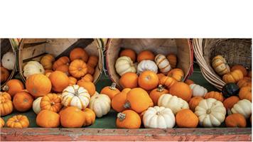 Tea and Cake and Chat - Tuesday 7th October '25