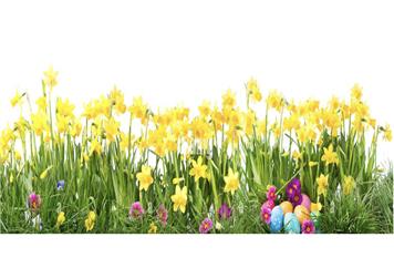 Tea and Cake and Chat - Tuesday 7th April '26