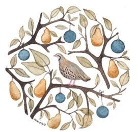 Christmes Fair - Saturday 22nd November '25